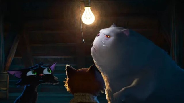 Gatto - Trailer