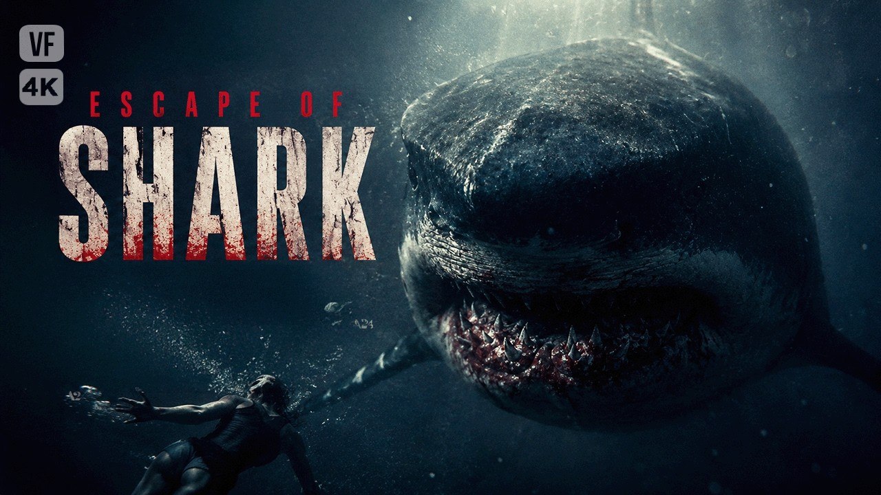shark
