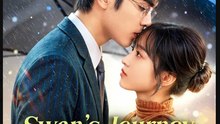 Swan's Journey to Love Drama Movies English Sub