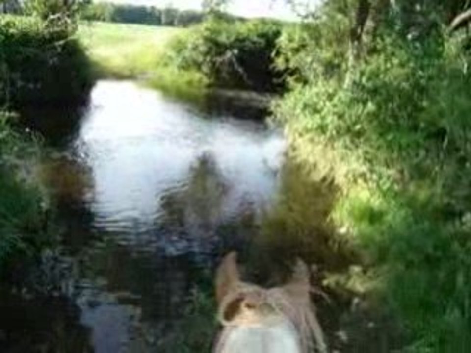 ballade du 20-06-08 a la thur 1