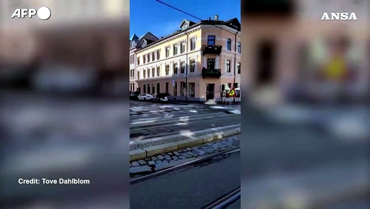 Alce passeggia nel centro di Oslo