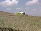CLAAS ARES 567 ATX PLOUGHING THE CANOLA FIELD 2008 PART2