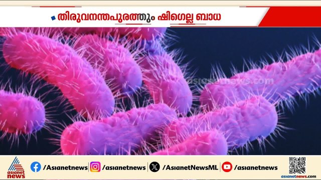 തിരുവനന്തപുരത്തും ഷിഗെല്ല ബാധ; തോന്നക്കലിലും പുത്തൻതോപ്പിലും രോഗം സ്ഥിരീകരിച്ചു | Shigella Cases
