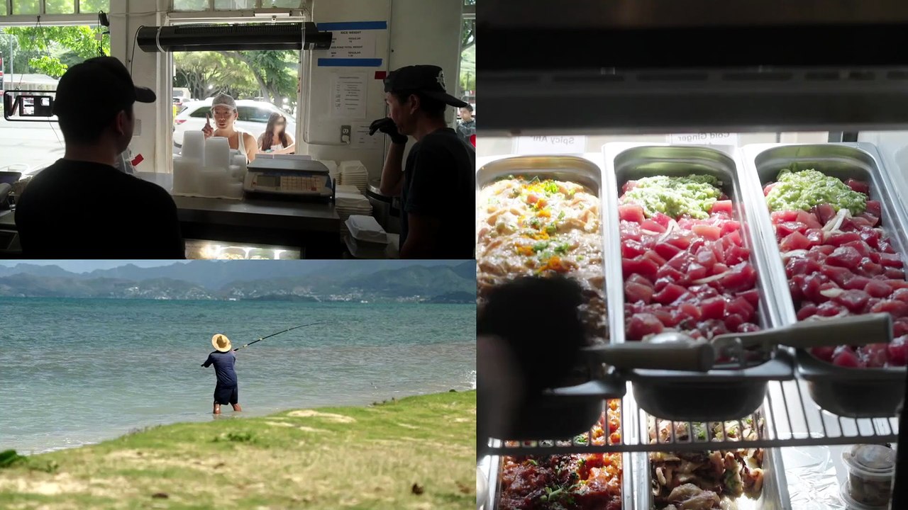 Renovation Aloha Season 3 Episode 11 Full Episode HD Online