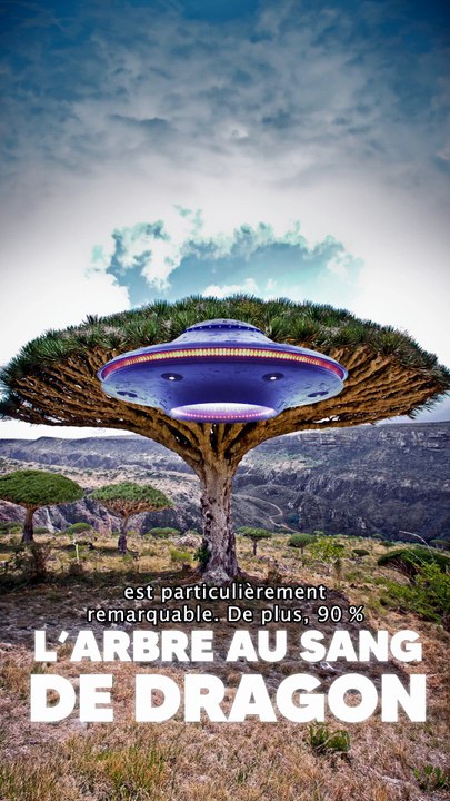 L'île de Sokotra semble sortie d'un film de science fiction #géographie