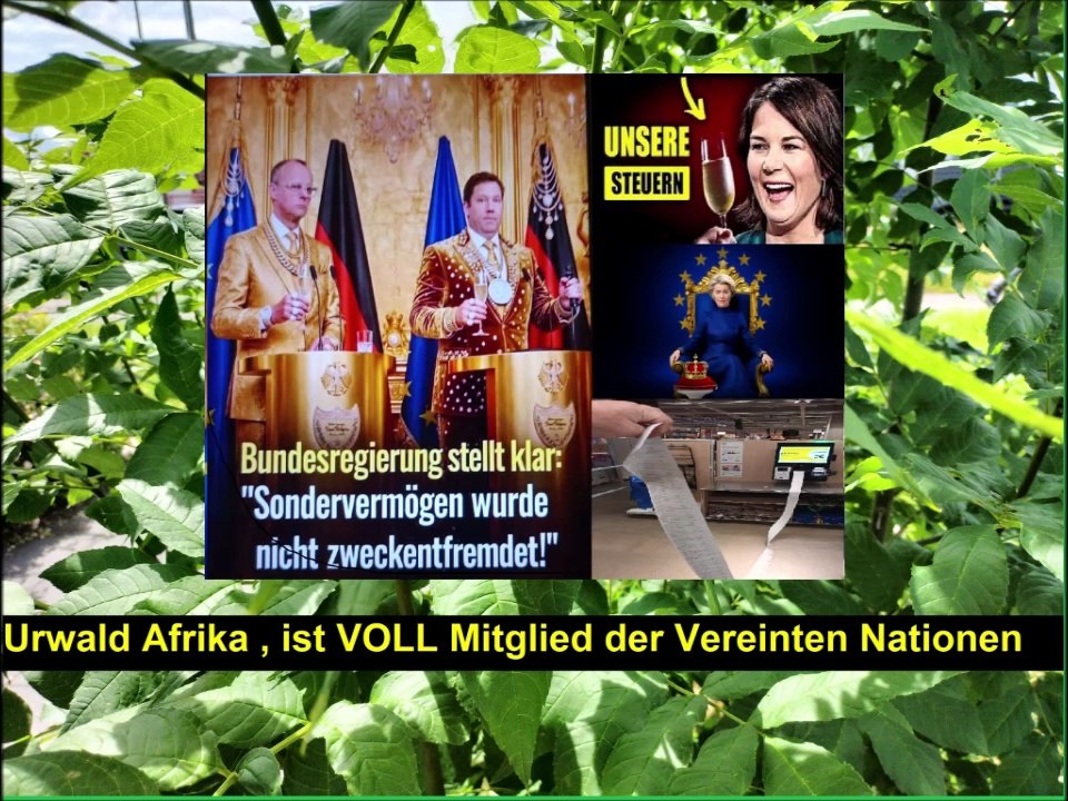 vereinte-nationen-film-unkraut-urwald-schilder-verkehrsschild-chaos