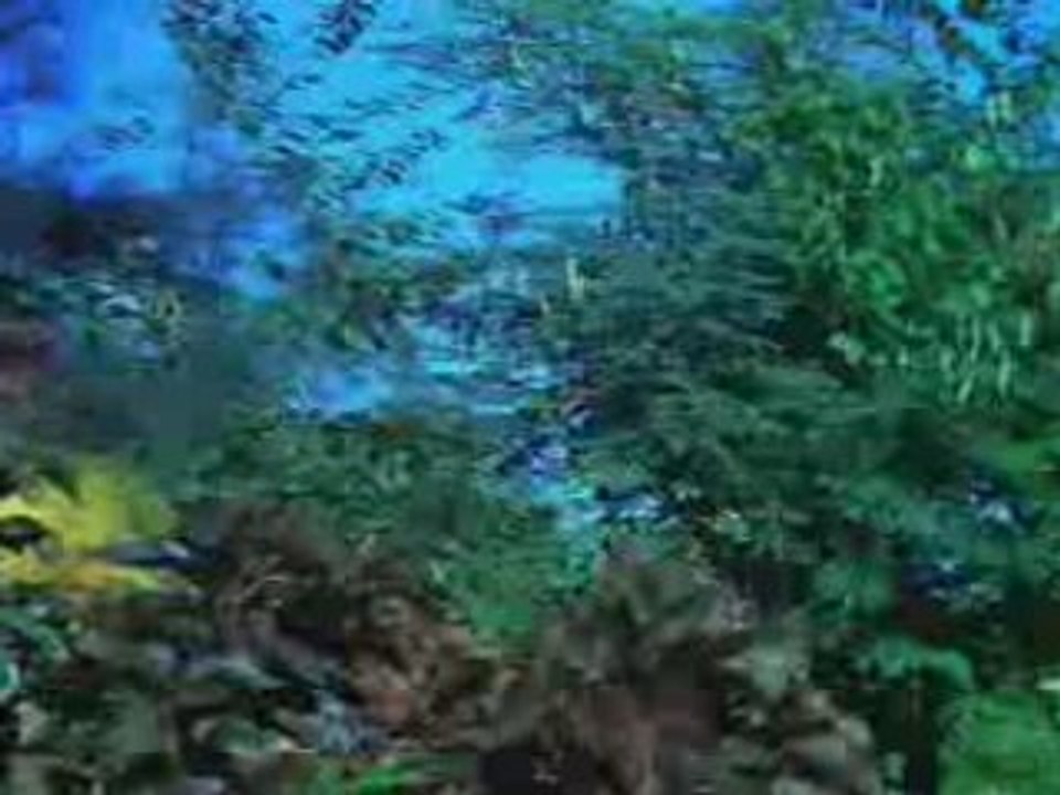 Tum Haseen Main Jawan