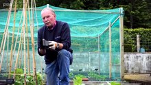 Beechgrove Garden S48E11