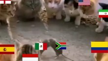 Partido de chiquitos