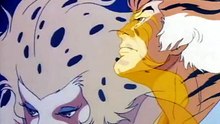 ThunderCats (1985) - EP33 - Dimensão da Destruição – Desenho Dublado Completo