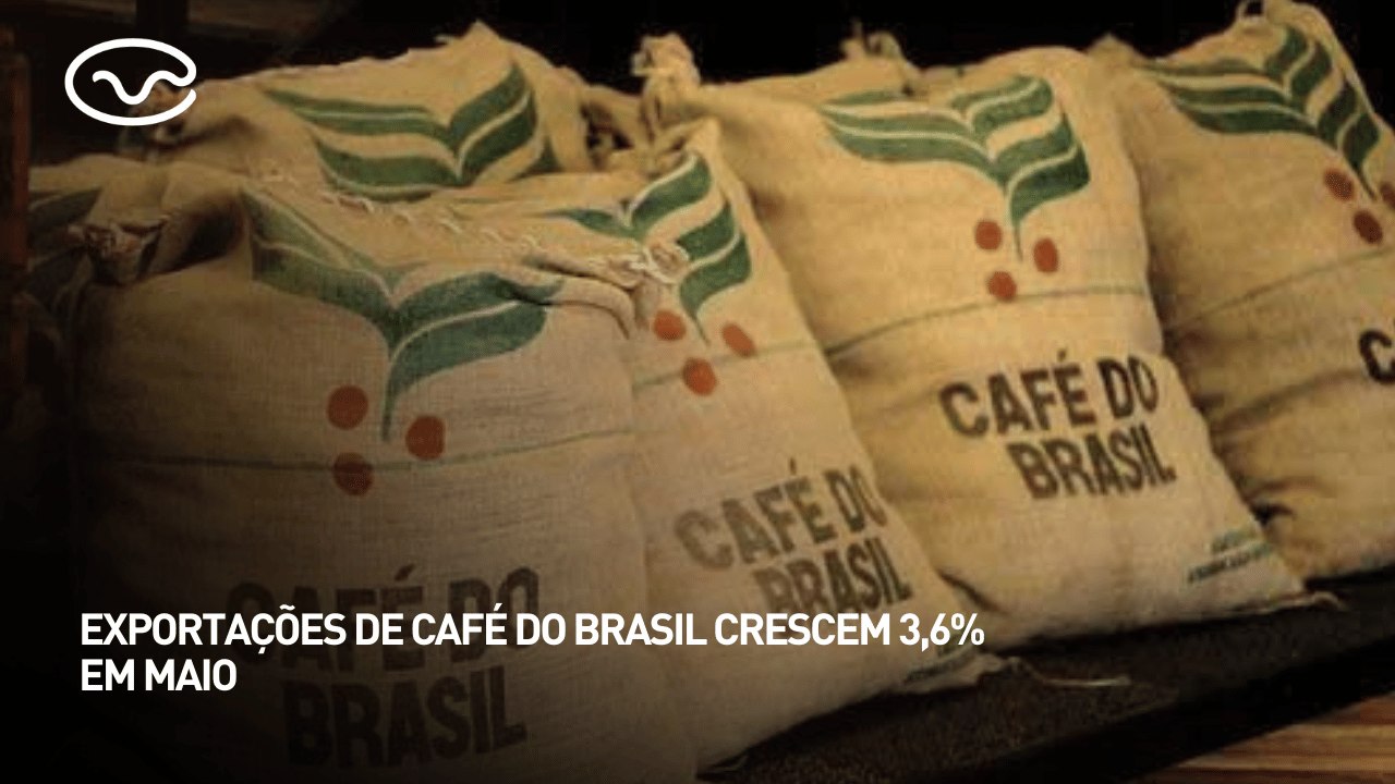 Exportações de café do Brasil crescem 3,6% em maio
