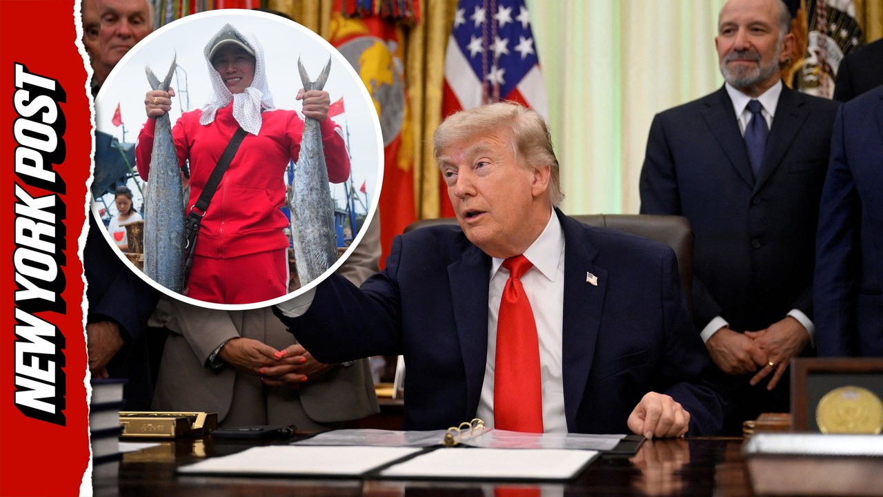 'These people are crazy': Trump trolls fisher gender language debate