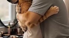 CATS AND DOGS