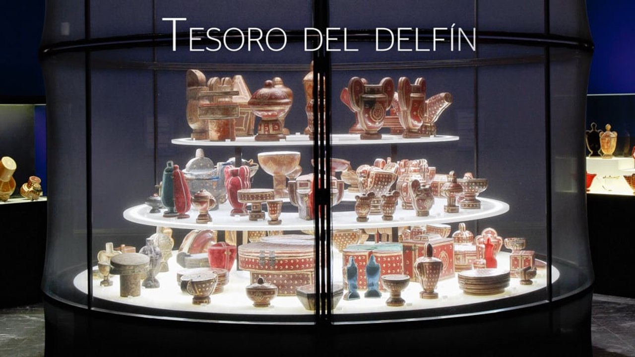Master tesoros de delfin