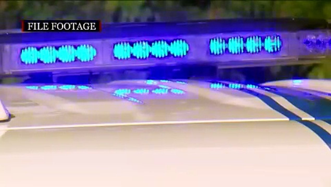 POLICE SEIZE GUN, MARIJUANA PLANTS 11TH JUNE 26