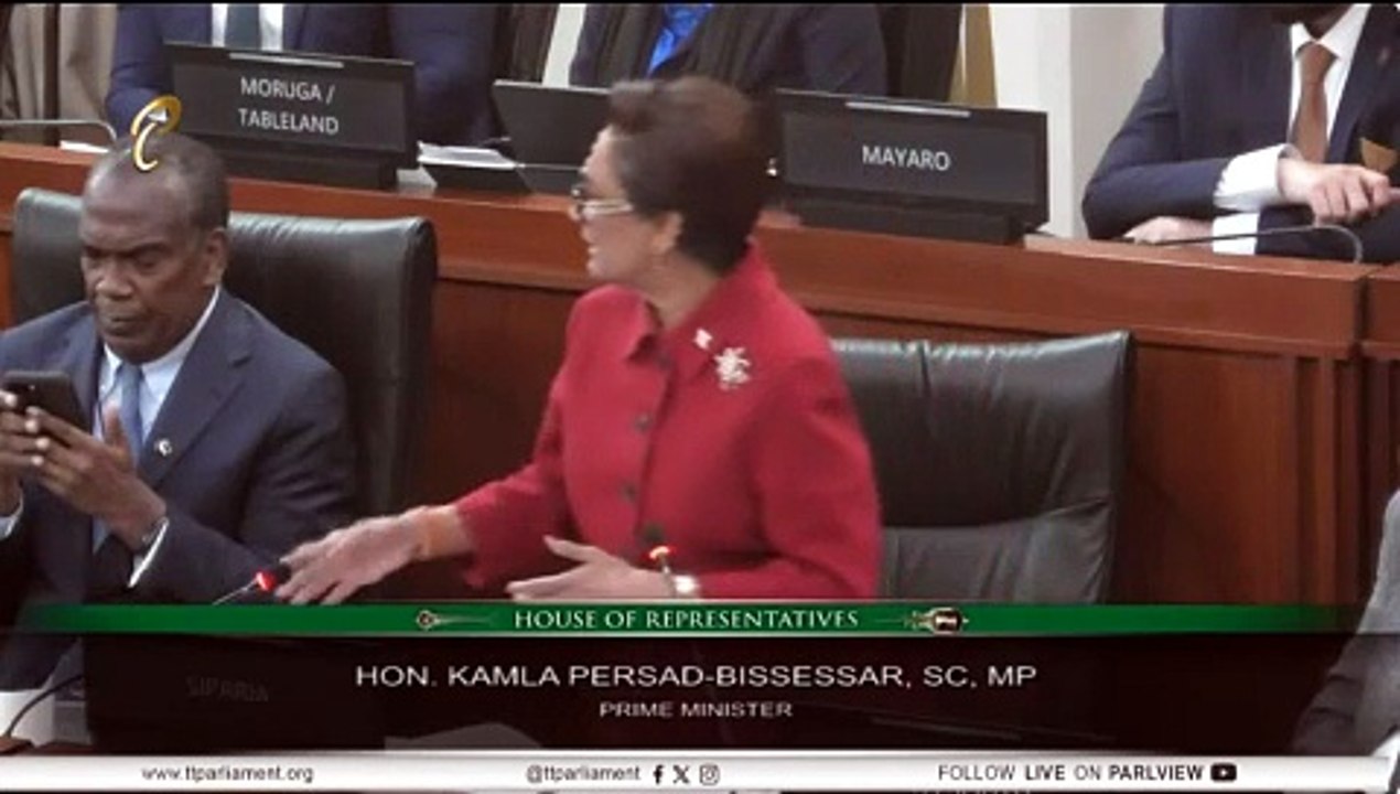PM SAYS PROTESTORS TRIED TO INTIMIDATE DPP_11TH_JUN_2026