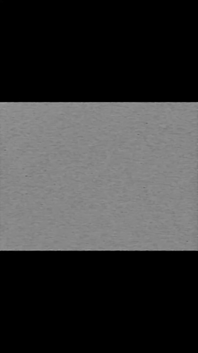 Carson Orfield - 100 Pennies