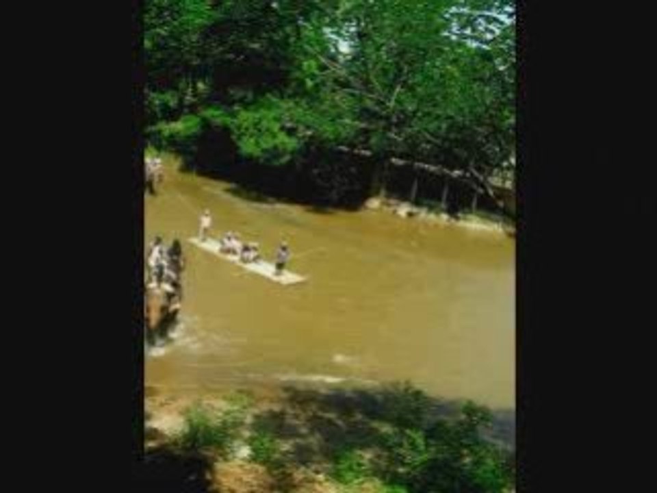 5 Im Elefantencamp