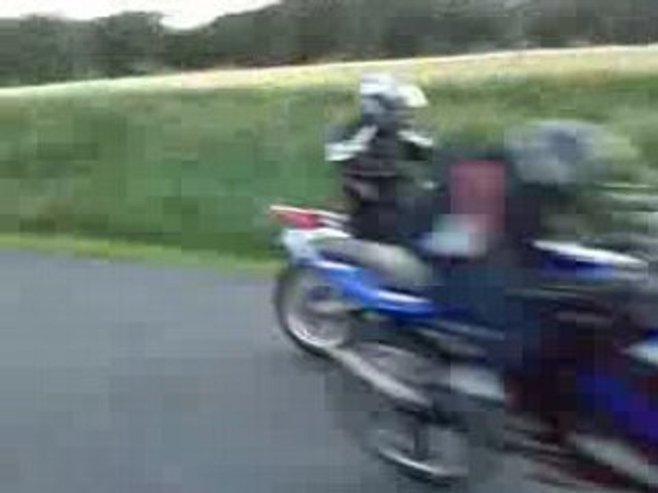 dt top rose by kev' 3