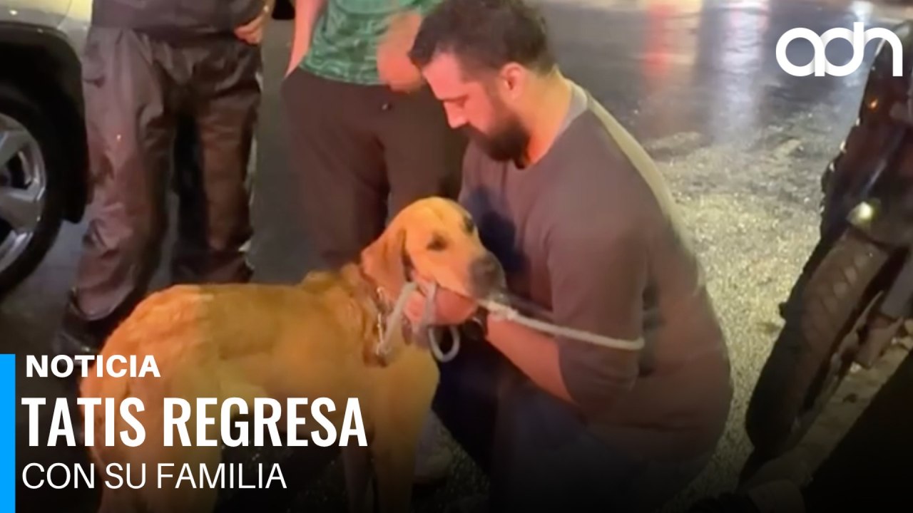 ¡Final feliz! Aparece el dueño del perrito atrapado en carriles centrales de Periférico