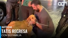 ¡Final feliz! Aparece el dueño del perrito atrapado en carriles centrales de Periférico