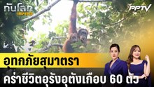 อุทกภัยสุมาตราคร่าชีวิตอุรังอุตังเกือบ 60 ตัว|ทันโลก EXPRESS |12 มิ.ย. 69