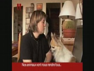 Teaser Pets dating