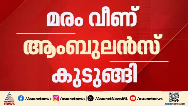 മരംവീണ് അട്ടപ്പാടി ചുരത്തിൽ ആംബുലൻസ് കുടുങ്ങി; ചികിത്സ വൈകി വെന്റിലേറ്ററിലായിരുന്ന യുവാവ് മരിച്ചു