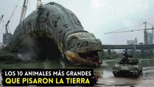 Los 10 animales más grandes que caminaron sobre la Tierra
