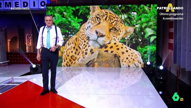 El Intermedio - (17-03-26) Wyoming, sobre la denuncia de Abogados Cristianos contra Héctor de Miguel: Son unos verdaderos profesionales del acoso En español