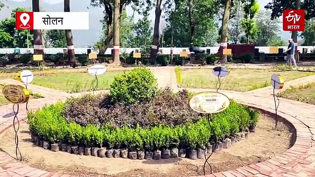 हिमाचल की अनोखी वाटिका, यहां मिलेंगे 27 नक्षत्रों से जुड़े पवित्र और औषधीय वृक्ष