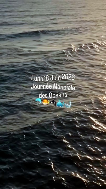 Lundi 8 Juin 2026 c'est la journée mondiale des océans 🐳