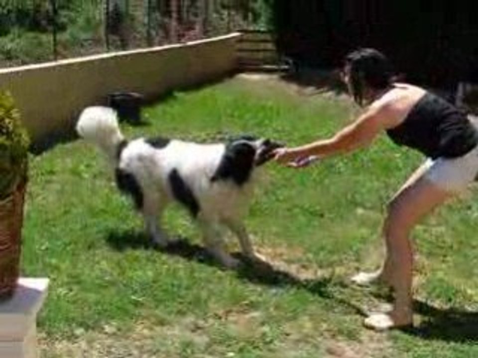 Jess & Ace