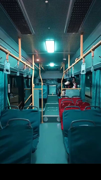 The Midnight Bus Three Rules to Survive