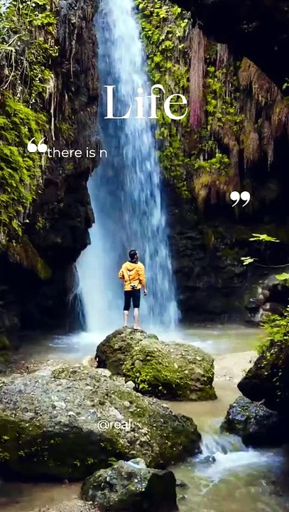 Green and Brown Simple Mobile Video TikTok Story Video_20260612_112203_0000
