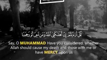 ✨ Surah Al Mulk Ayat 23-30 | Beautiful Quran Recitation