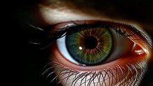 Your Brain's Intelligence Test Exposed