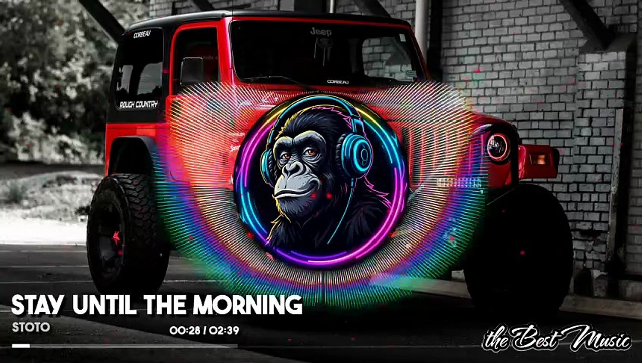 Stay Until the Morning - Stoto