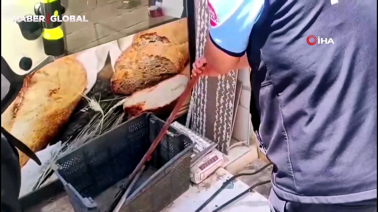Gaziantep'te yerleşim yerinde yılan paniği