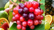 bahasa inggris animasi  nama0nama buah (2)