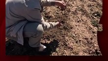 El fenómeno de "El Niño" amenaza con ser uno de los más intensos desde 1950 y agravará el impacto de las olas de calor.