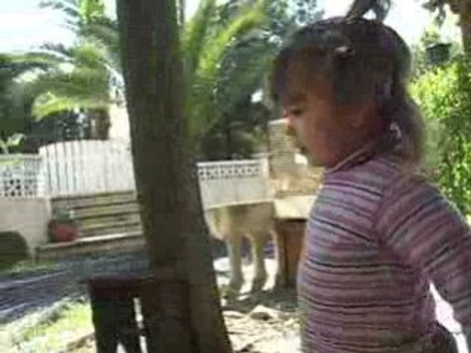 heu!! petit papa nonel!! ;)