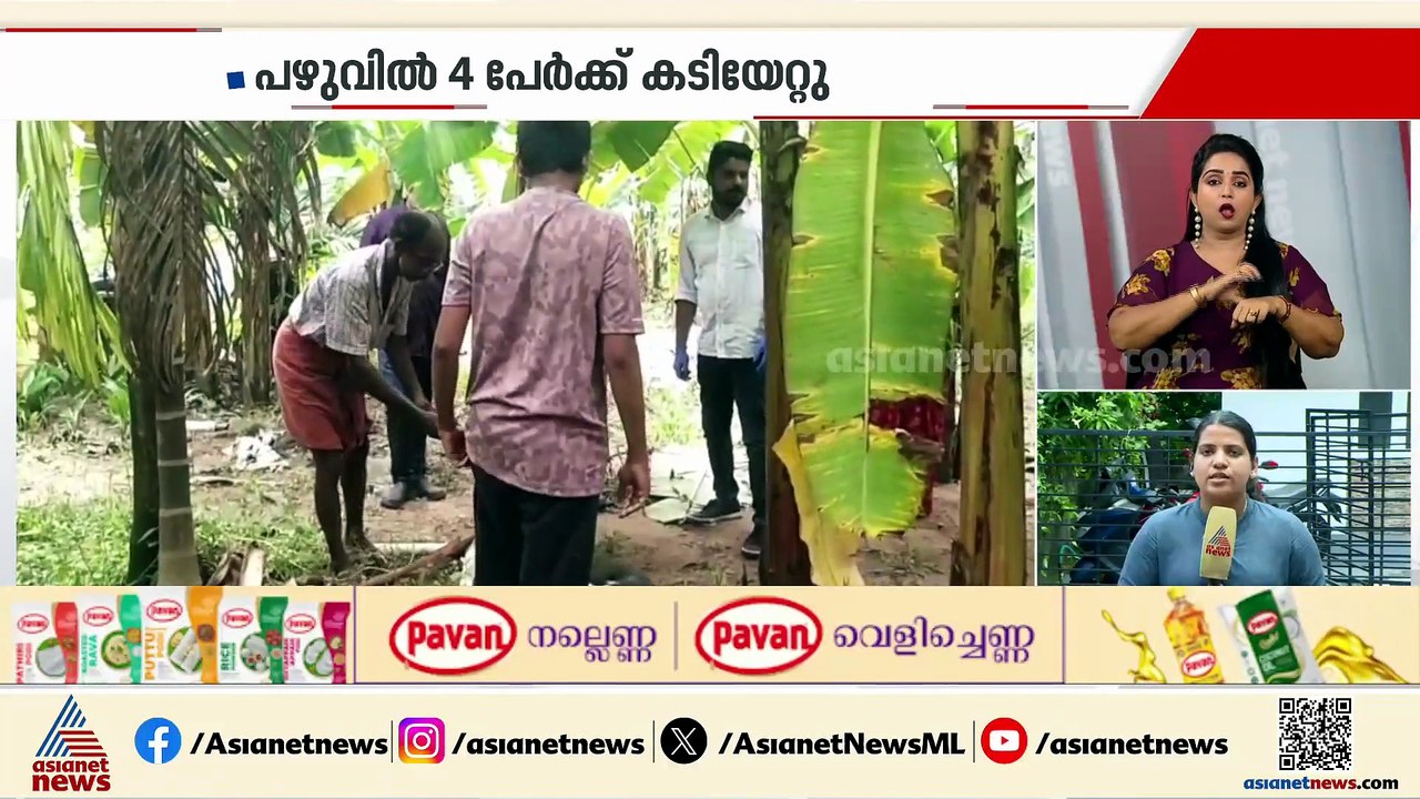 തൃശൂരിൽ തെരുവുനായ ആക്രമണം; മുള്ളൂർക്കരയിൽ 5 പേര...