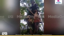 മരം വെട്ടുന്നതിനിടെ കൊമ്പുകൾക്കിടയിൽ തലകീഴായി കുടുങ്ങി: കോഴിക്കോട് തൊഴിലാളിയെ രക്ഷപ്പെടുത്തി