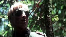 Peter Cushing 1977-Ondas de Choque-HD