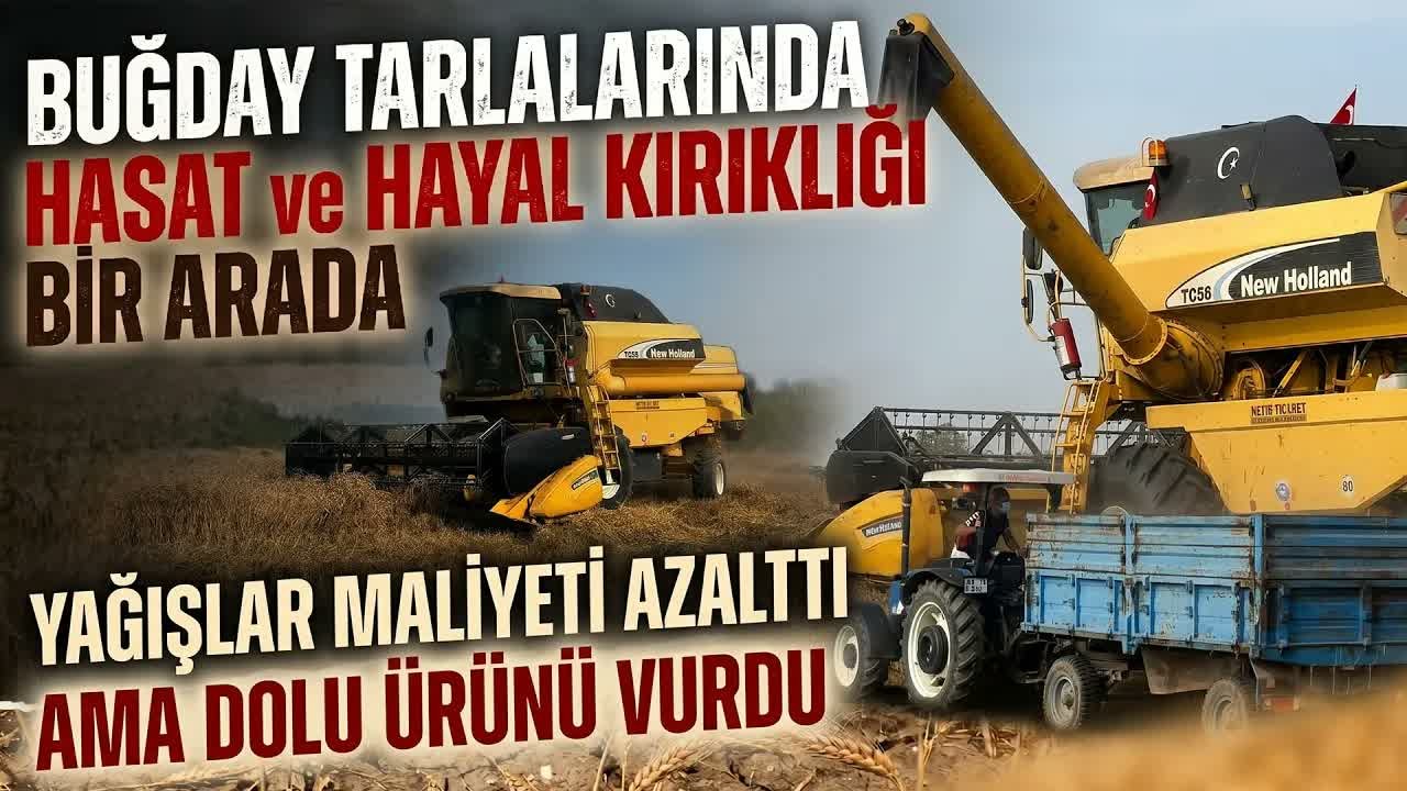 Tarımda Çift Etki: Yağış Tasarruf Sağladı, Dolu Zarar Verdi