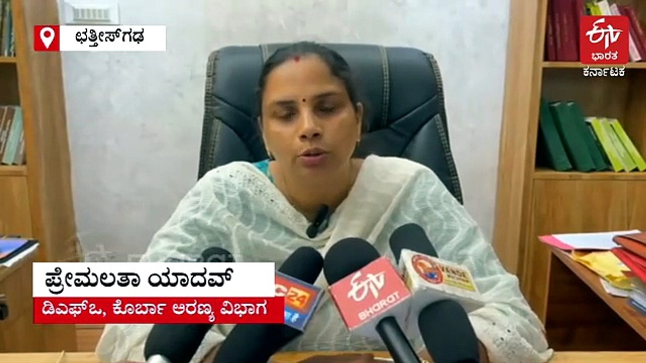ಮಾನ್ಸೂನ್​​ ಭವಿಷ್ಯ ಹೊತ್ತು ತರುವ ಪ್ರವಾಸಿ ಪಕ್ಷಿಗಳು: ಜೂನ್‌ನಲ್ಲಿ ಕೊರ್ಬಾಕ್ಕೆ ಆಗಮನ: ಅಕ್ಟೋಬರ್ - ನವೆಂಬರ್‌ನಲ್ಲಿ ಮಕ್ಕಳೊಂದಿಗೆ ವಾಪಸ್