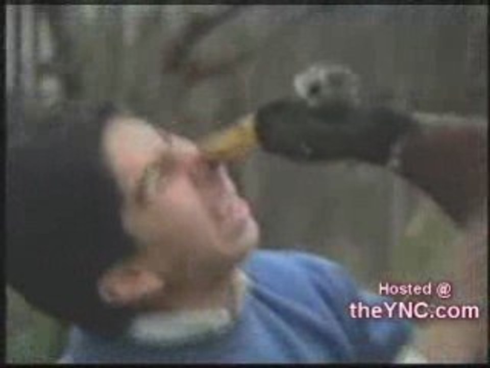 Oiseau agressifs..!