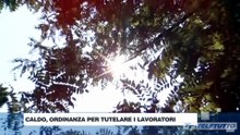 Video News - Caldo: il lavoro si ferma se la salute è a rischio