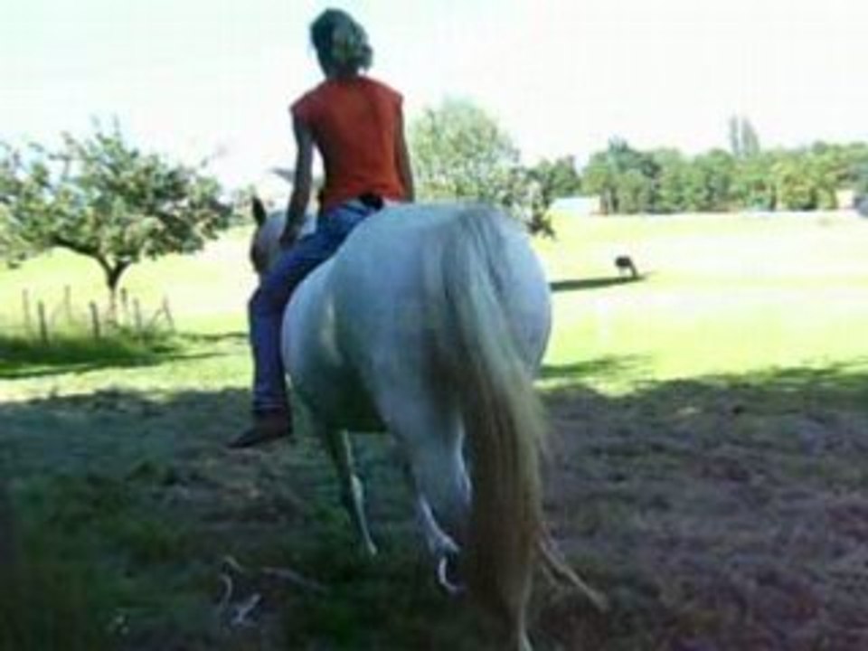 Plaisireuh !